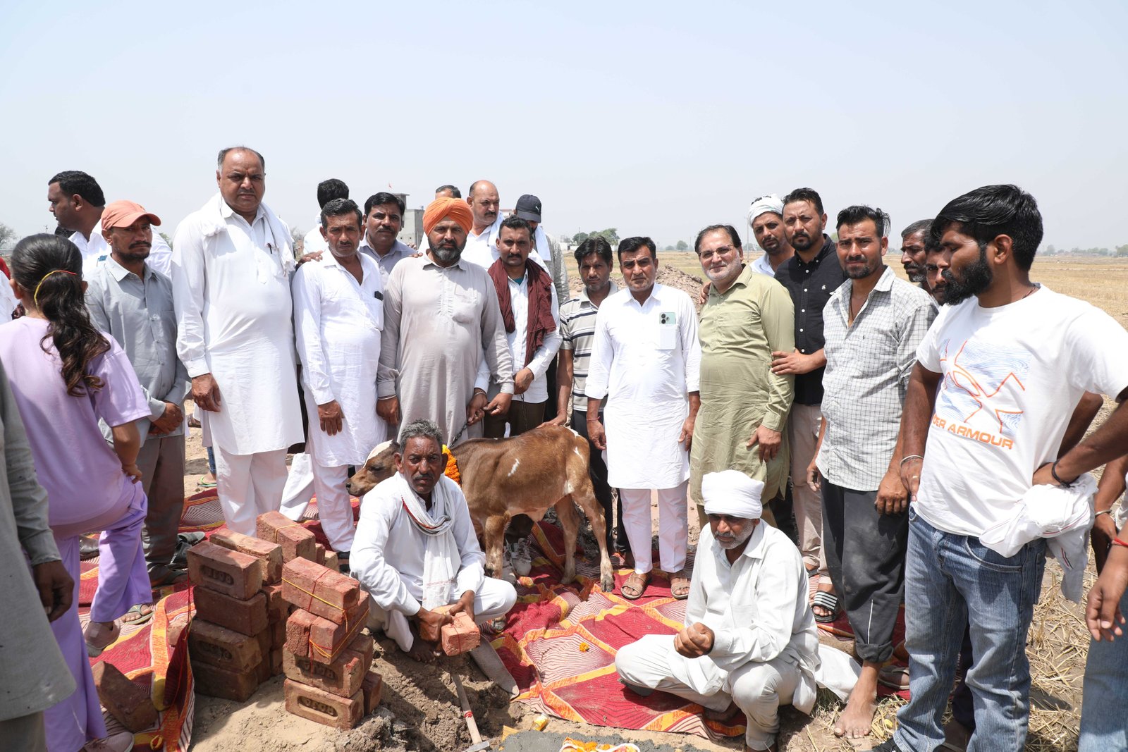 Foundation ceremony with calf blessing